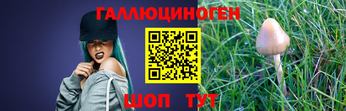 Галлюциногенные грибы Magic Shrooms Ейск