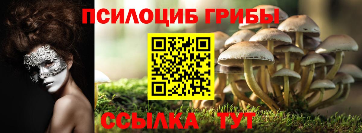 Псилоцибиновые грибы ЛСД  Вход с VPN  Псилоцибиновые грибы Cubensis  Ейск 
